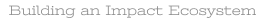 Building an Impact Ecosystem