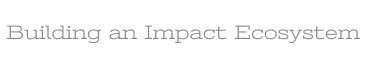 Building an Impact Ecosystem
